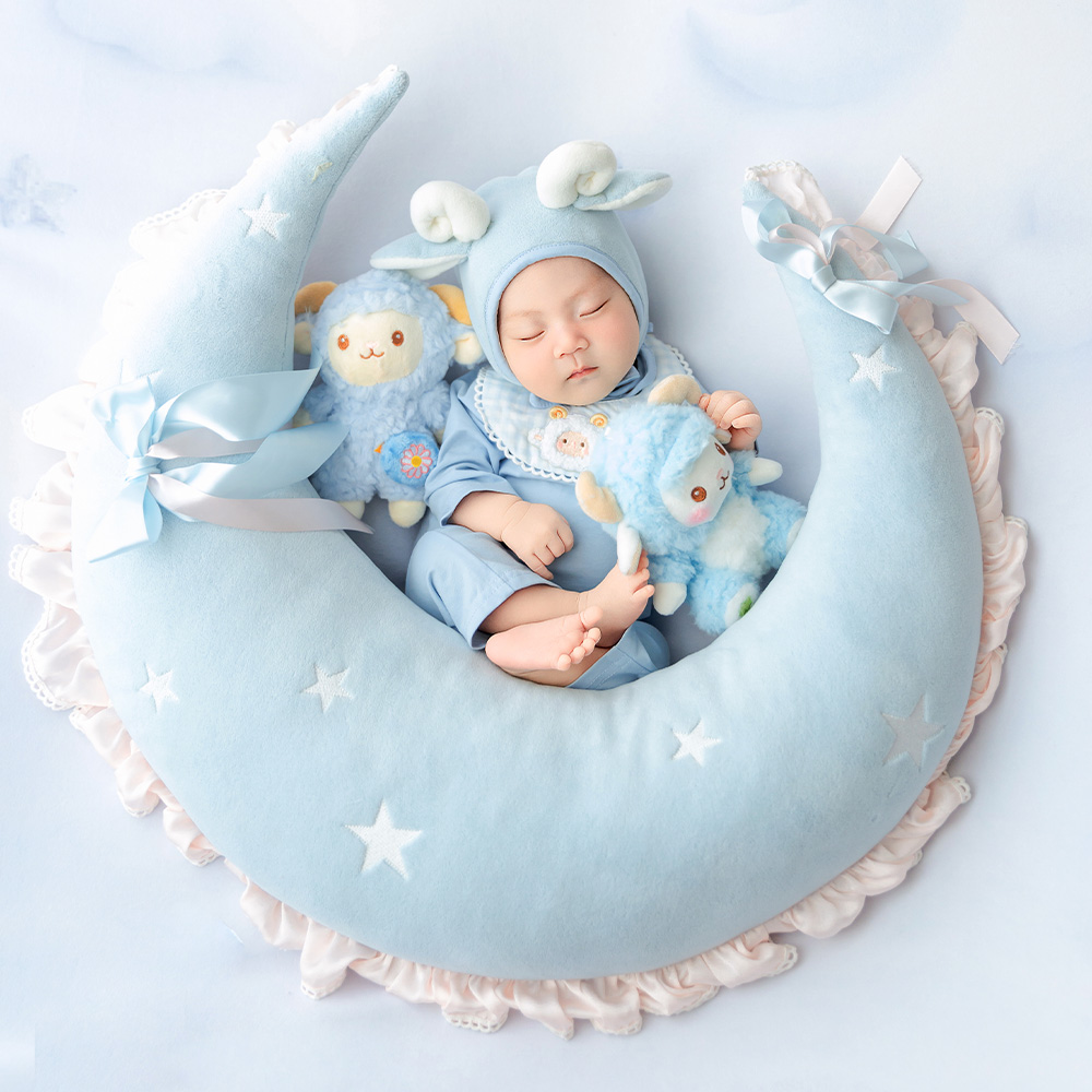 Blue Sheep Newborn Photography - đánh giá và giá Infant Photography Props Outfit