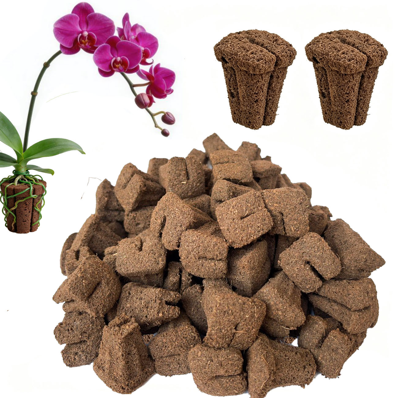 Hydroponic Rapid Grow Rooting  - đánh giá và giá Nursery