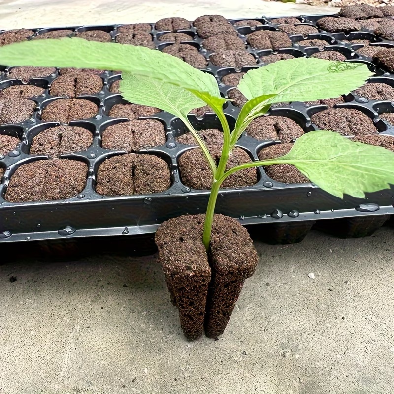 Hydroponic Rapid Grow Rooting  - đánh giá và giá Nursery