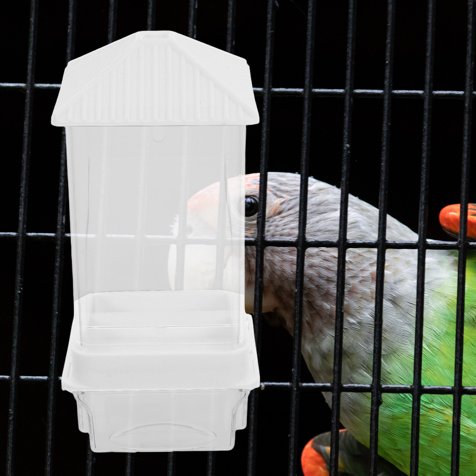 Automatic Bird Feeder Plastic  - đánh giá và giá Feeding